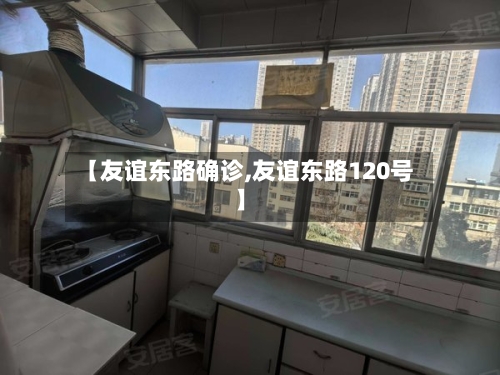 【友谊东路确诊,友谊东路120号】-第3张图片
