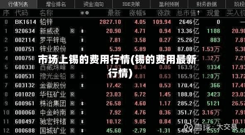 市场上锡的费用行情(锡的费用最新行情)