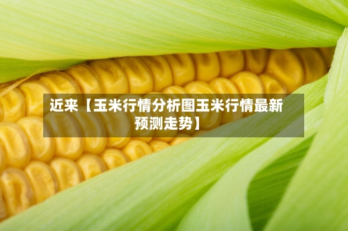 近来【玉米行情分析图玉米行情最新预测走势】