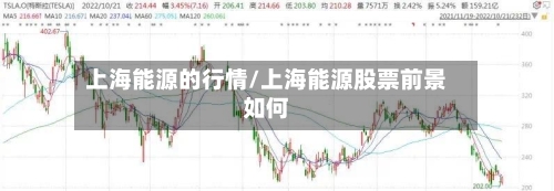上海能源的行情/上海能源股票前景如何