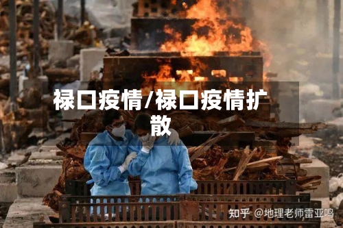 禄口疫情/禄口疫情扩散-第3张图片