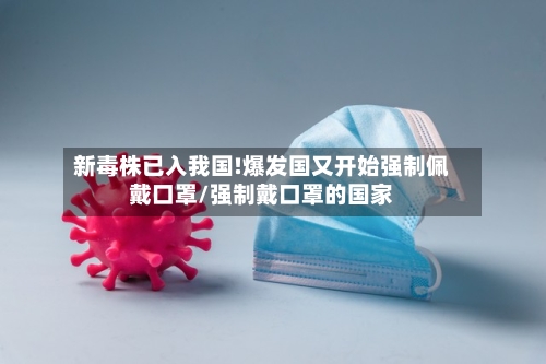 新毒株已入我国!爆发国又开始强制佩戴口罩/强制戴口罩的国家-第2张图片