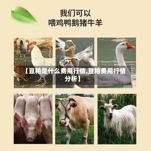 【豆粕是什么费用行情,豆粕费用行情分析】
