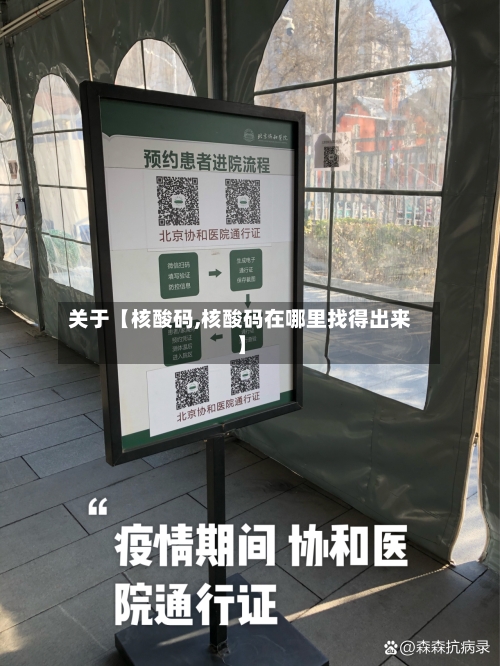 关于【核酸码,核酸码在哪里找得出来】-第3张图片