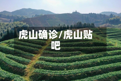 虎山确诊/虎山贴吧