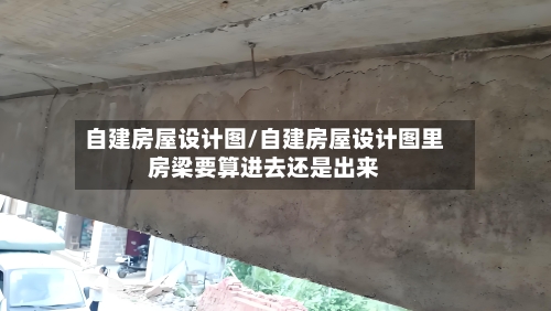 自建房屋设计图/自建房屋设计图里房梁要算进去还是出来