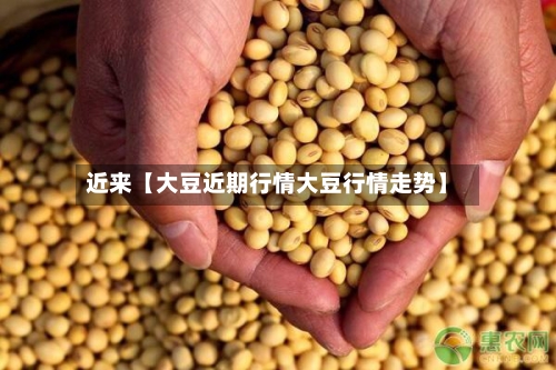 近来【大豆近期行情大豆行情走势】